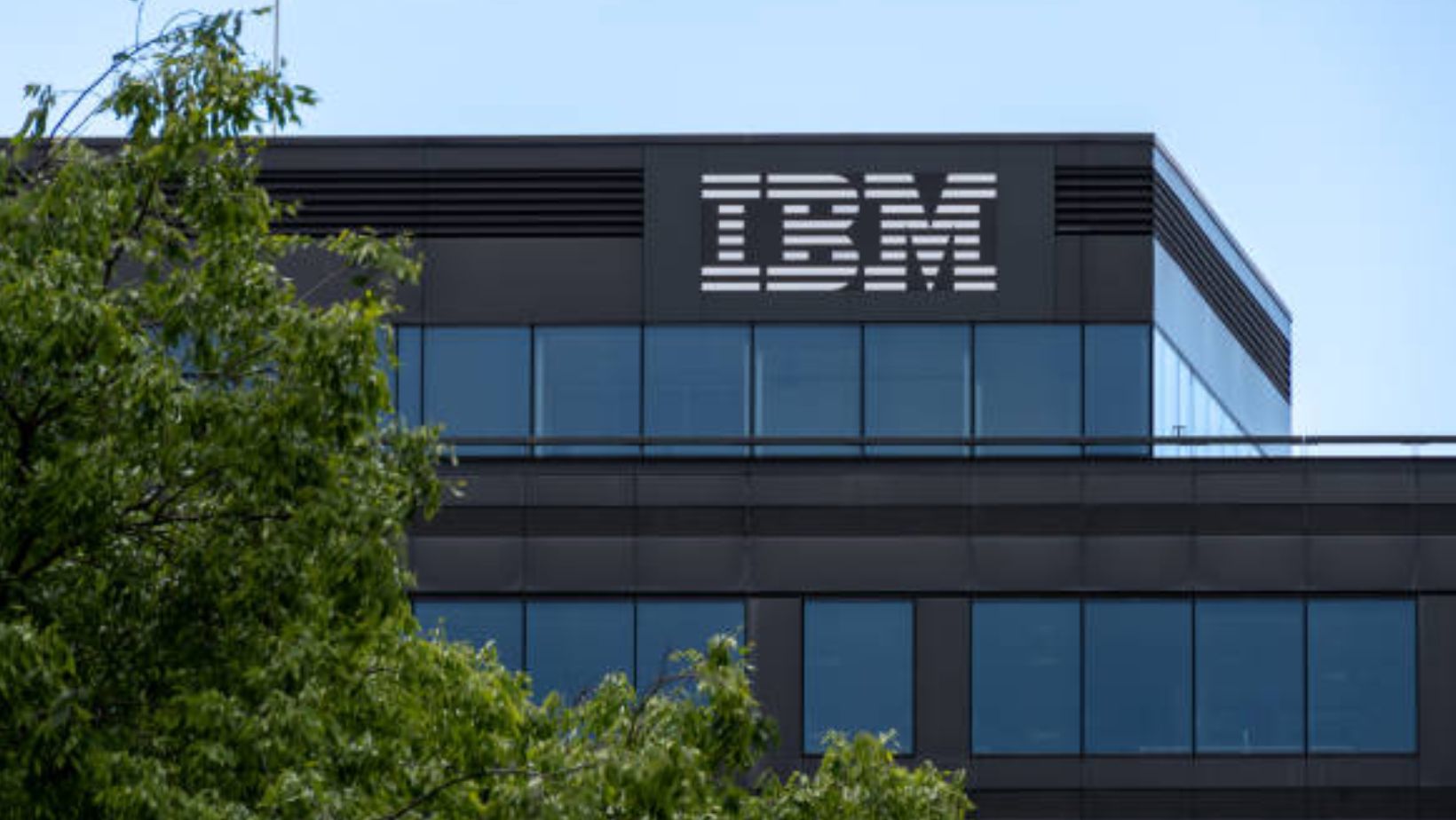 IBM group hiring for fresher internship 2024