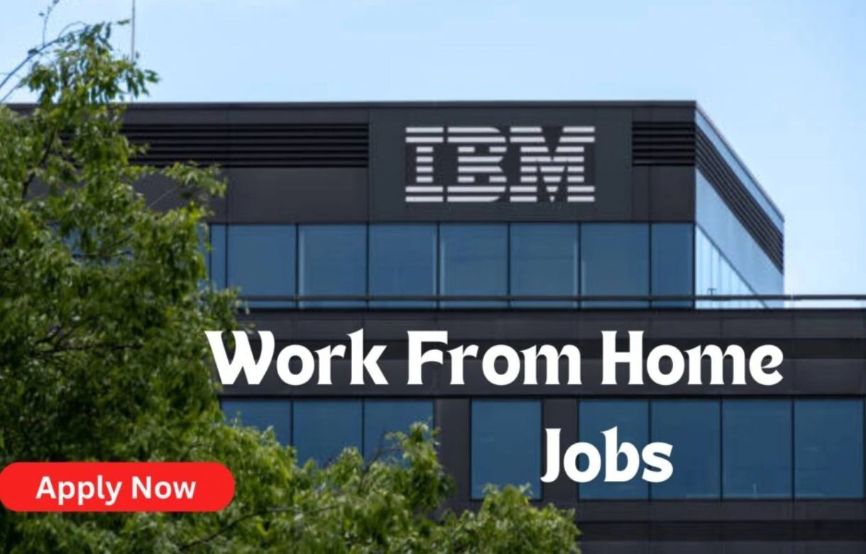 IBM Hiring Finance and Administration Delivery Manager